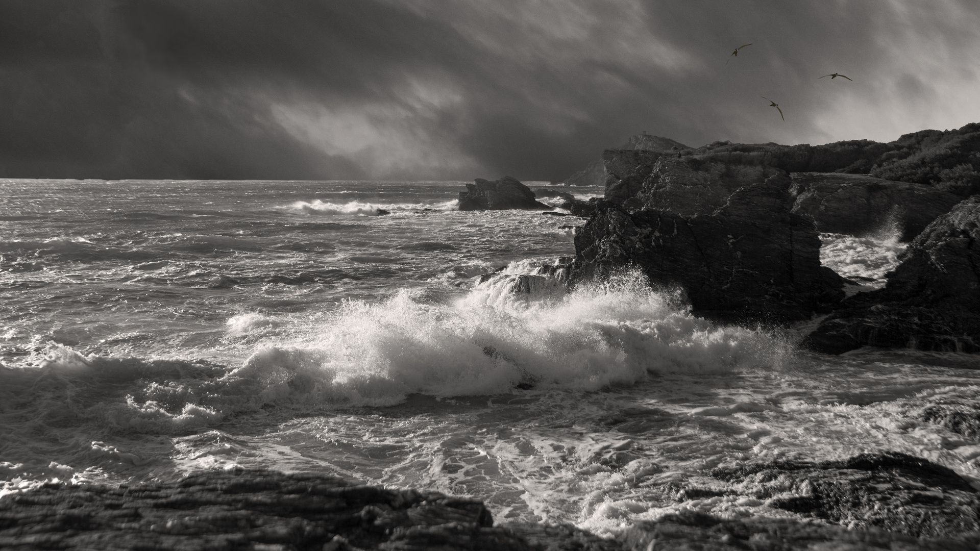 Contre vent et tempête