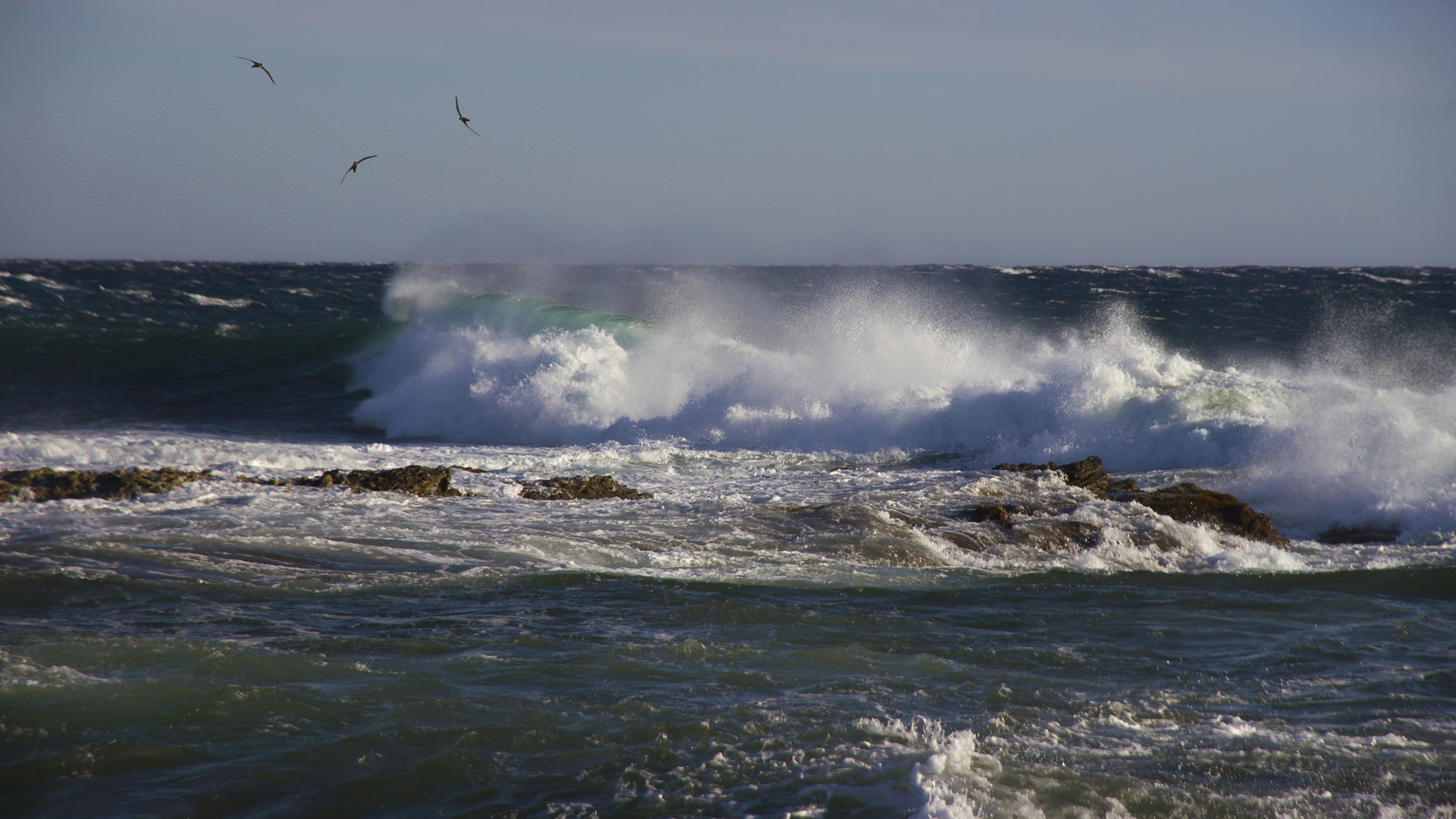 Contre vents et tempête 