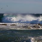 Contre vents et tempête 