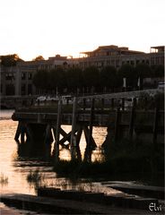 Contrejour sur la Loire