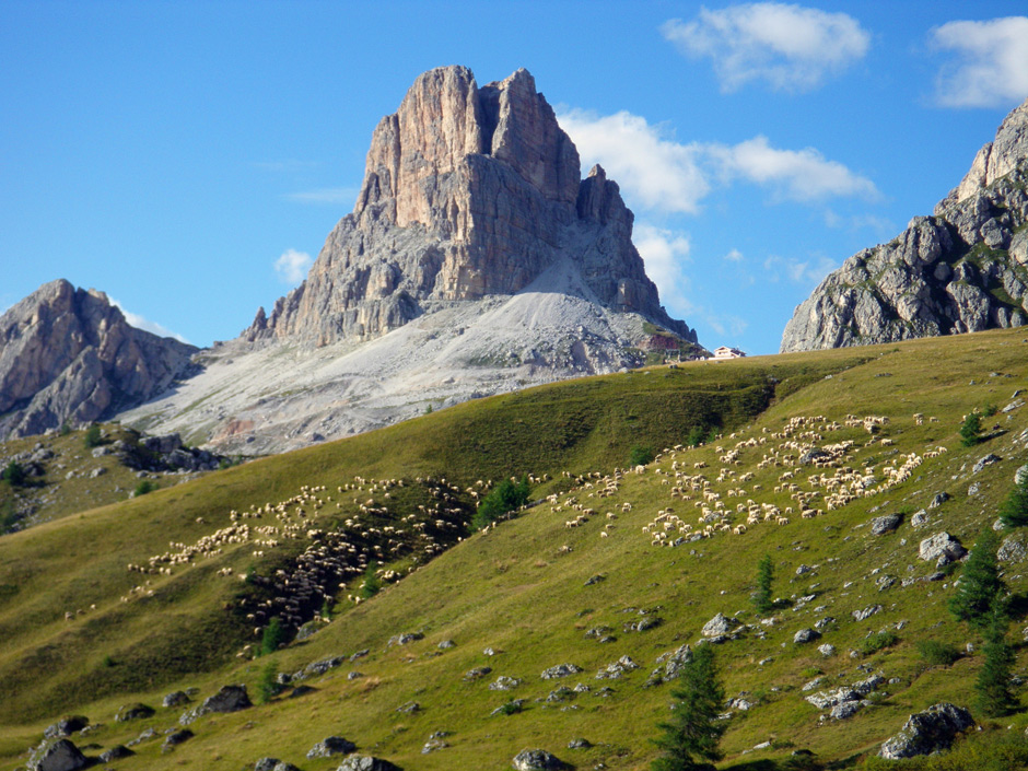 contro l'insonnia !