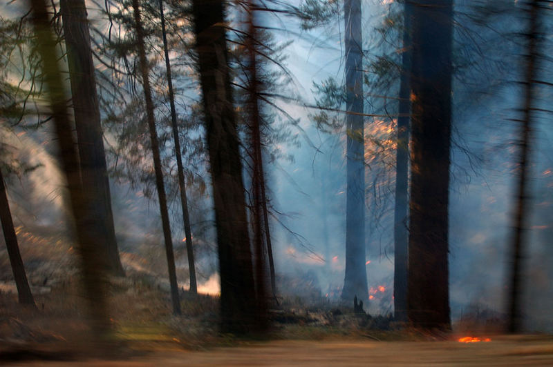 Controlled burn: Yosemite National Park