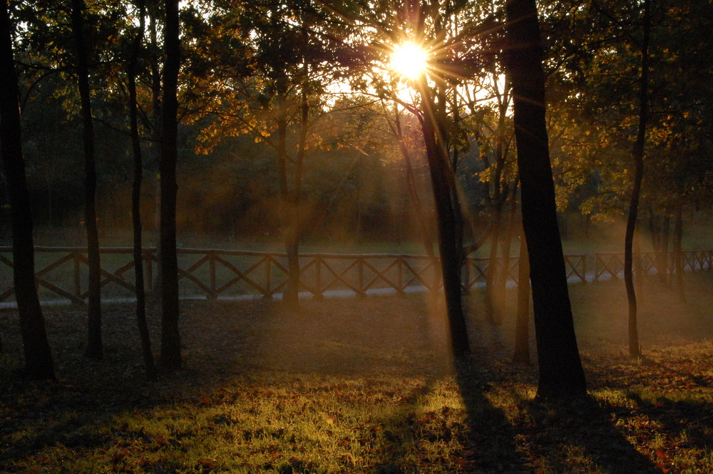 controluce