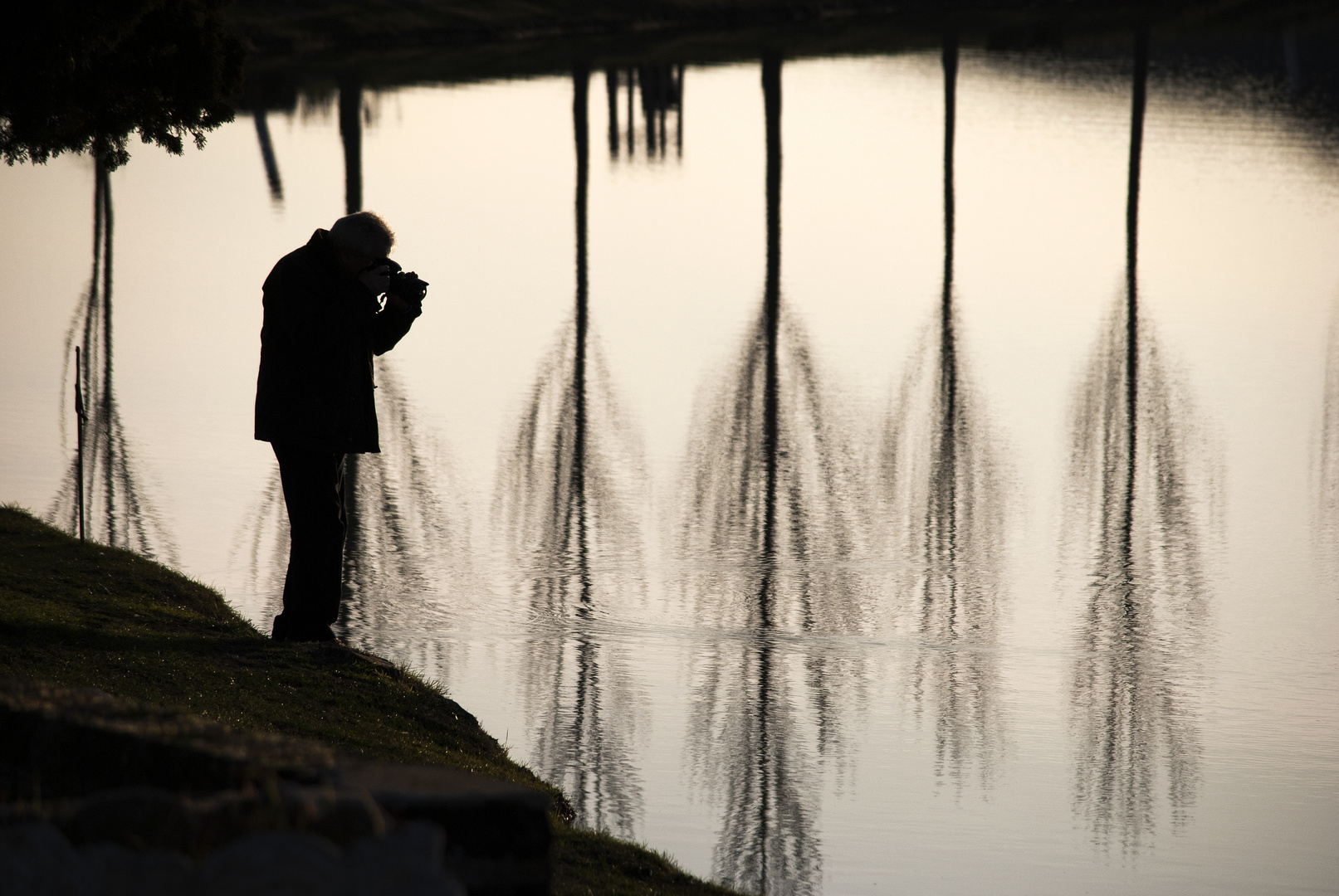 controluce