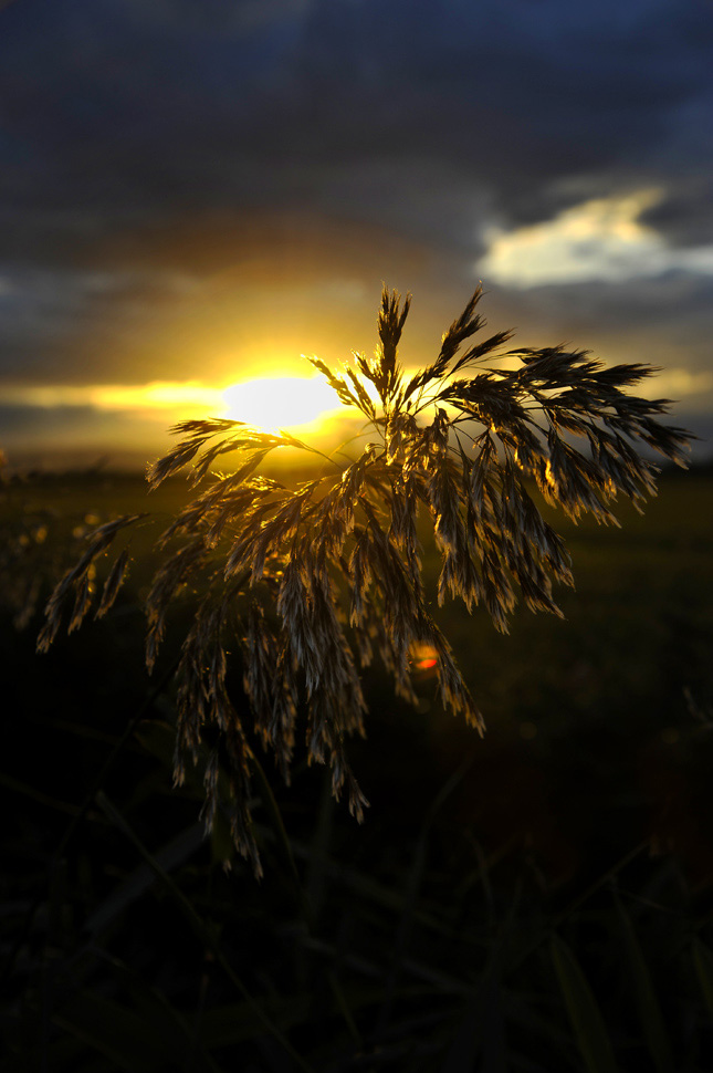 controluce al tramonto