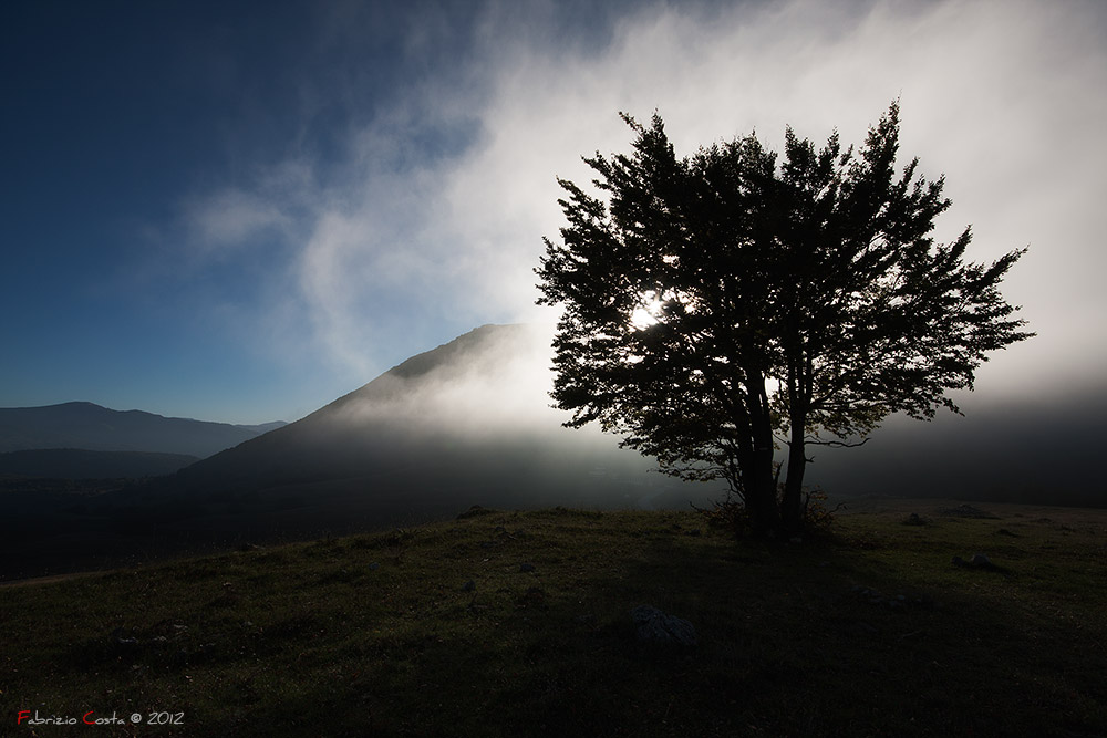 Controluce con nebbia di passaggio