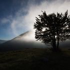 Controluce con nebbia di passaggio