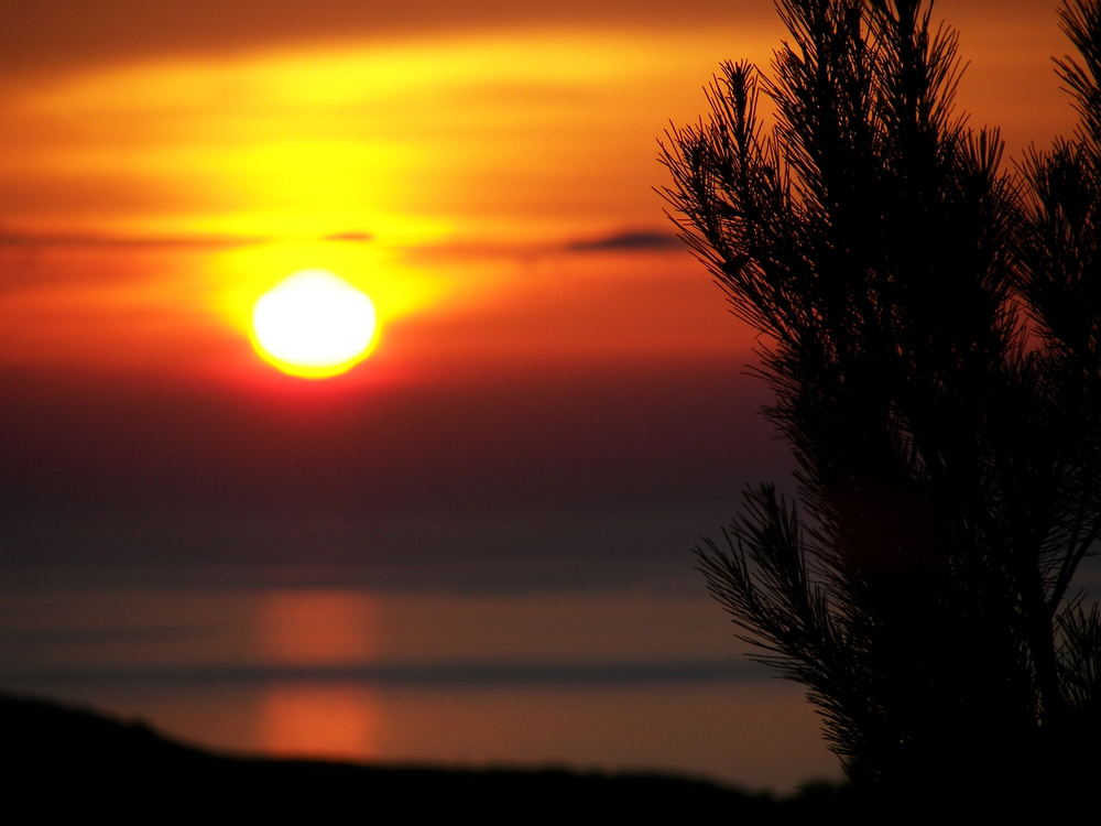 Controluce di Fuoco