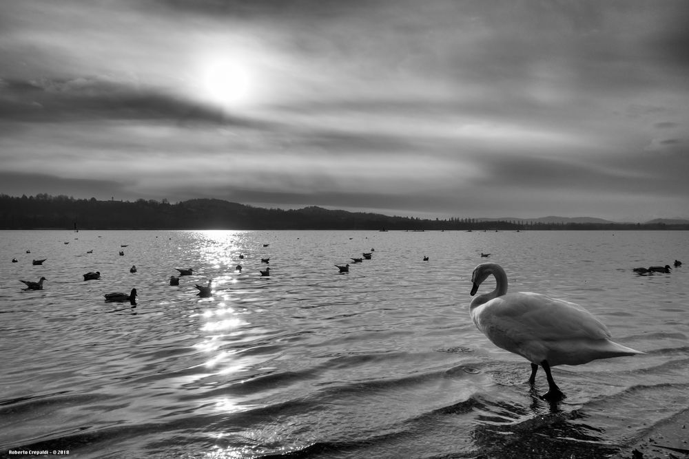 Controluce, lago di Varese