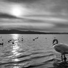 Controluce, lago di Varese