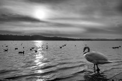 Controluce, lago di Varese