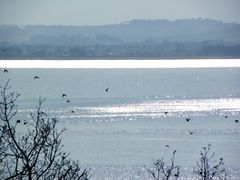 Controluce sul lago