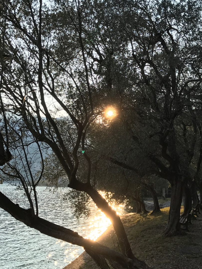 Controluce sul lungo lago di Montisola 