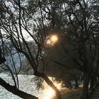 Controluce sul lungo lago di Montisola 