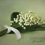 Convallaria majalis  ~  Maiglöckchen...