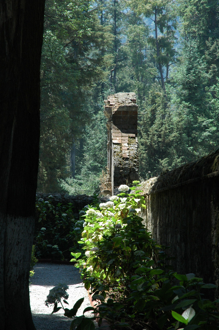 Convento del Desierto de los Leones