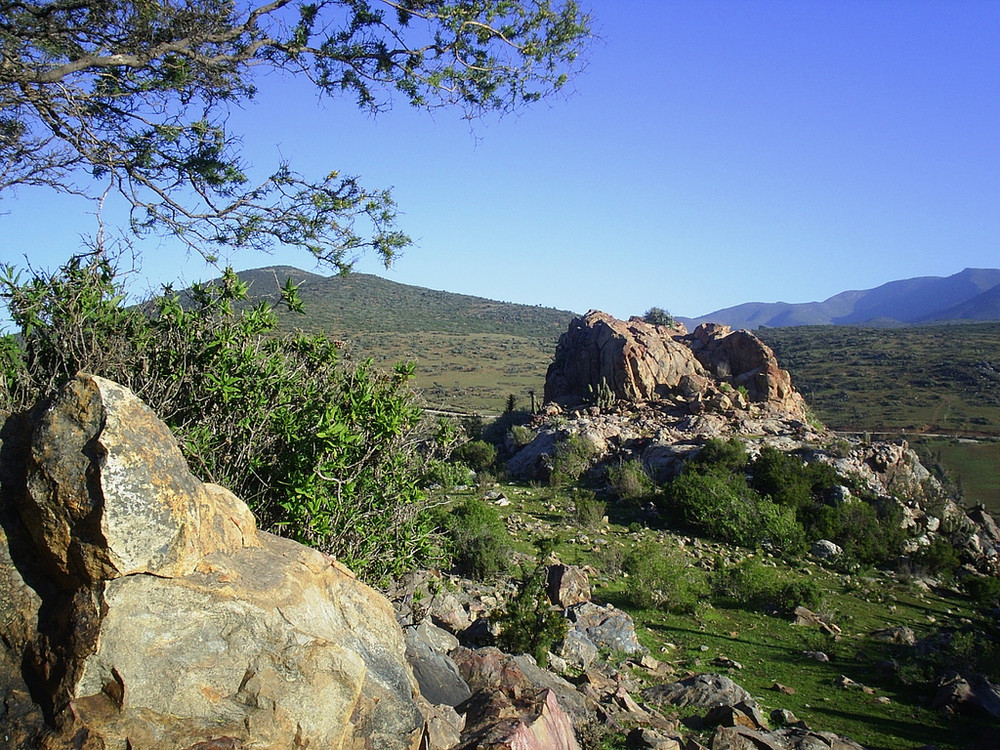 Conversaciòn de rocas