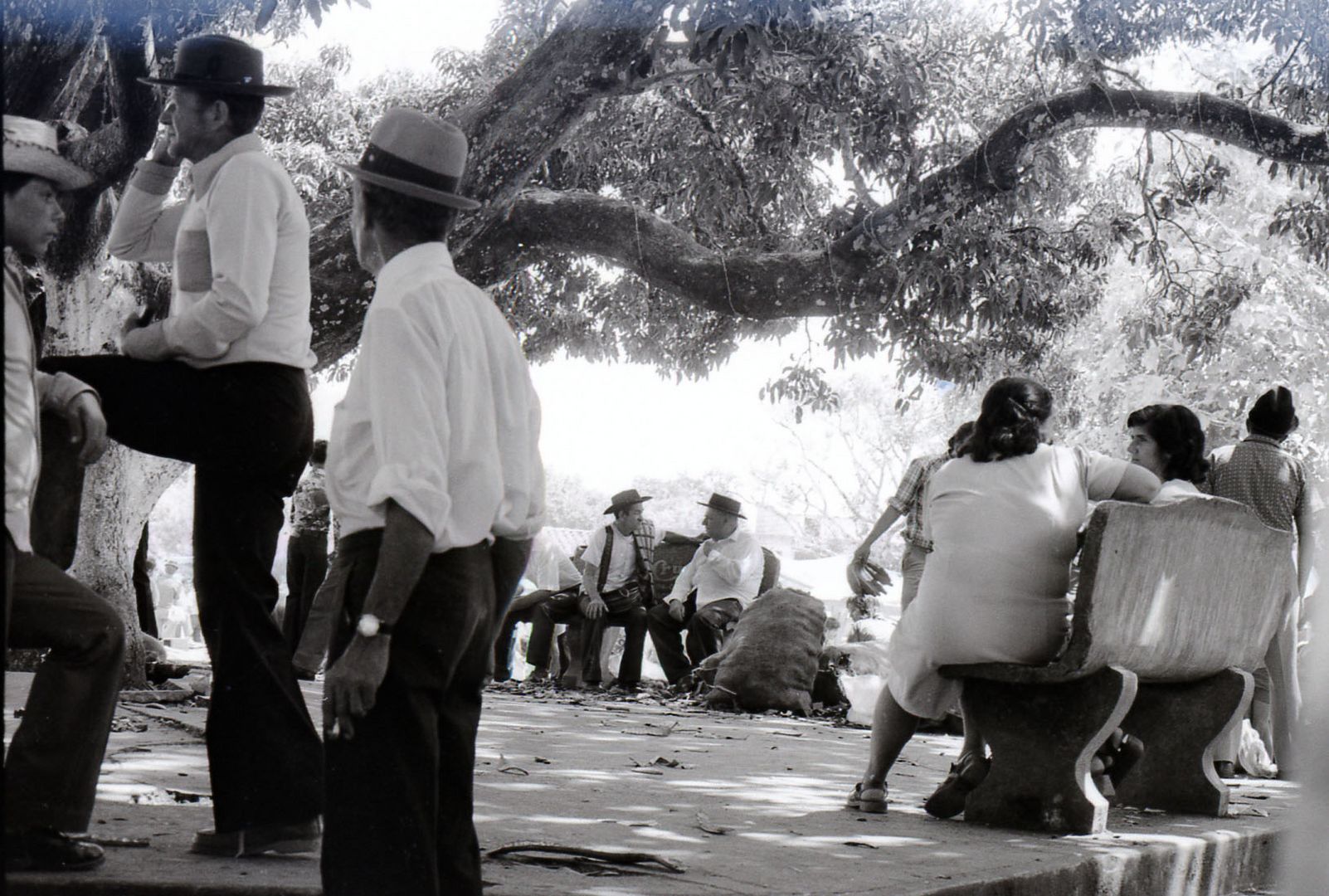 Conversación dominical