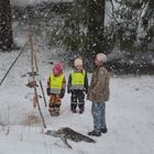 Conversation at the Bird Board