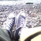 Converse meets gestrandete Gurke am Rhein