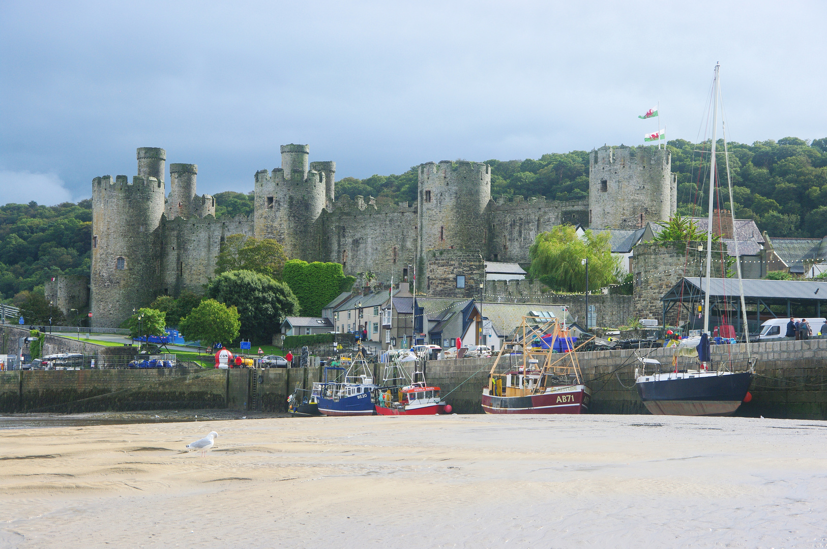 Conwy Castle