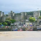 Conwy Castle