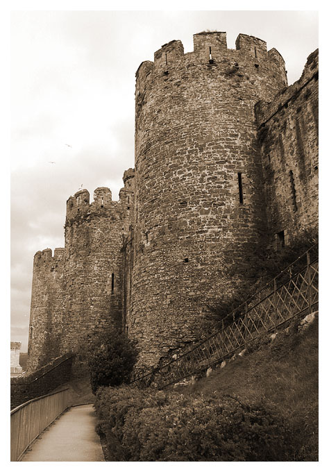 Conwy castle