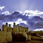 Conwy Castle