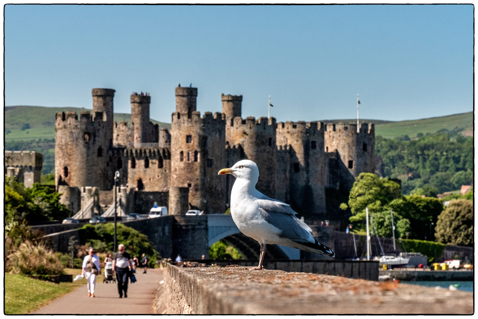 Conwy Castle