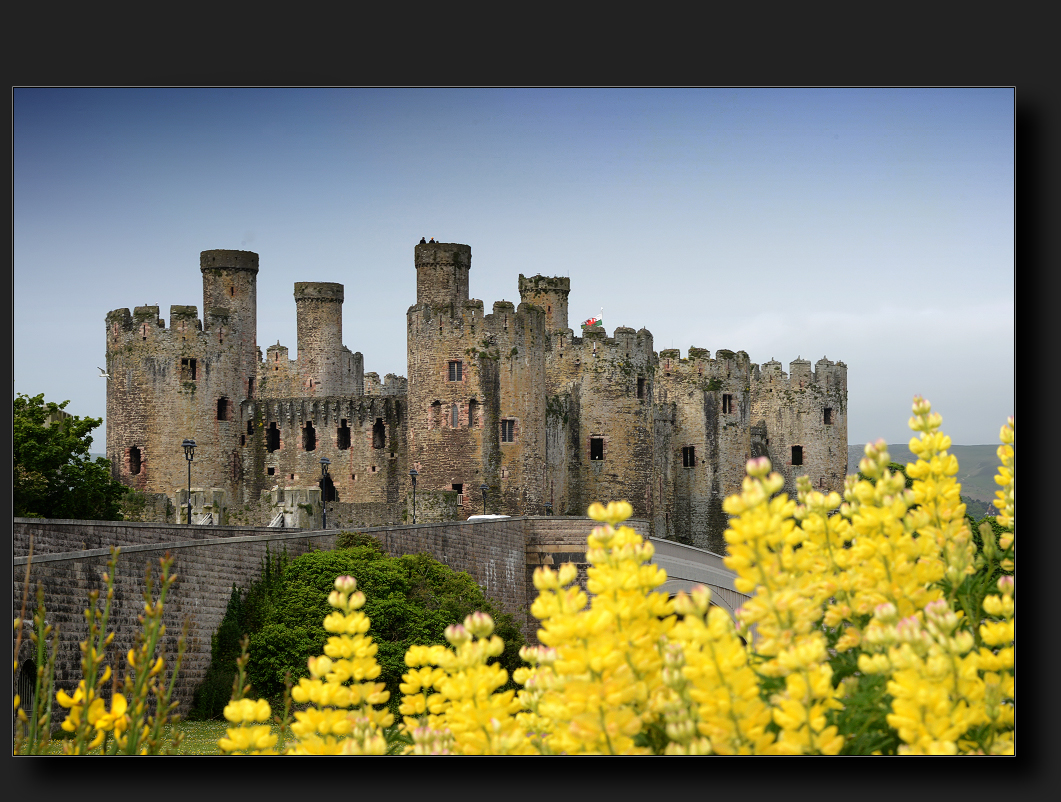 Conwy Castle