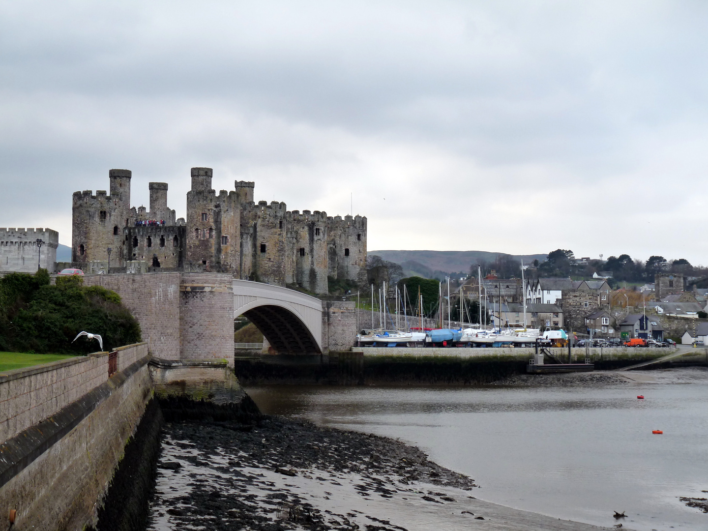 Conwy Castle