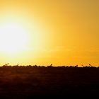 Coober Pedy