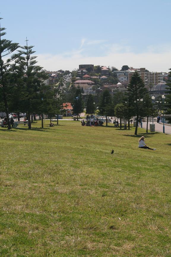 Coogee Beach