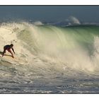 Coogee Surf