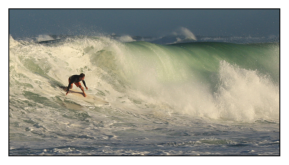 Coogee Surf