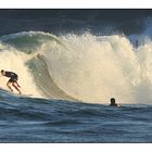 Coogee Surf II