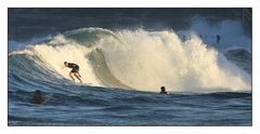 Coogee Surf II