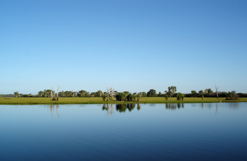 Cooinda - Yellow Water