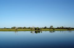 Cooinda - Yellow Water