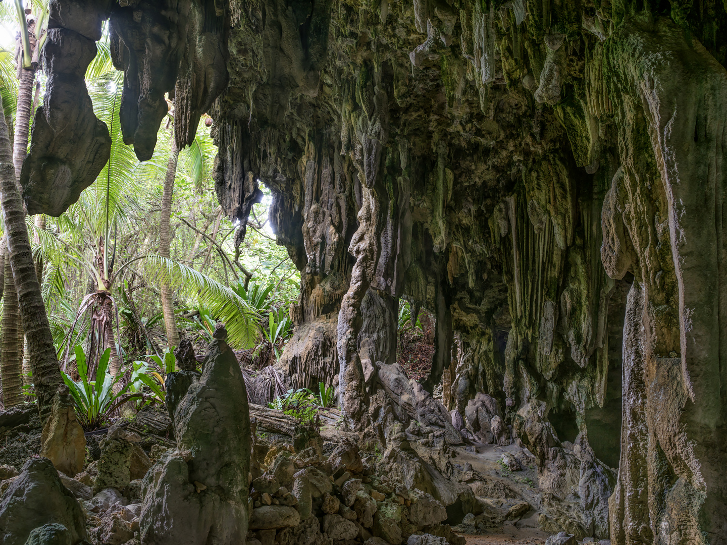 cook islands 54