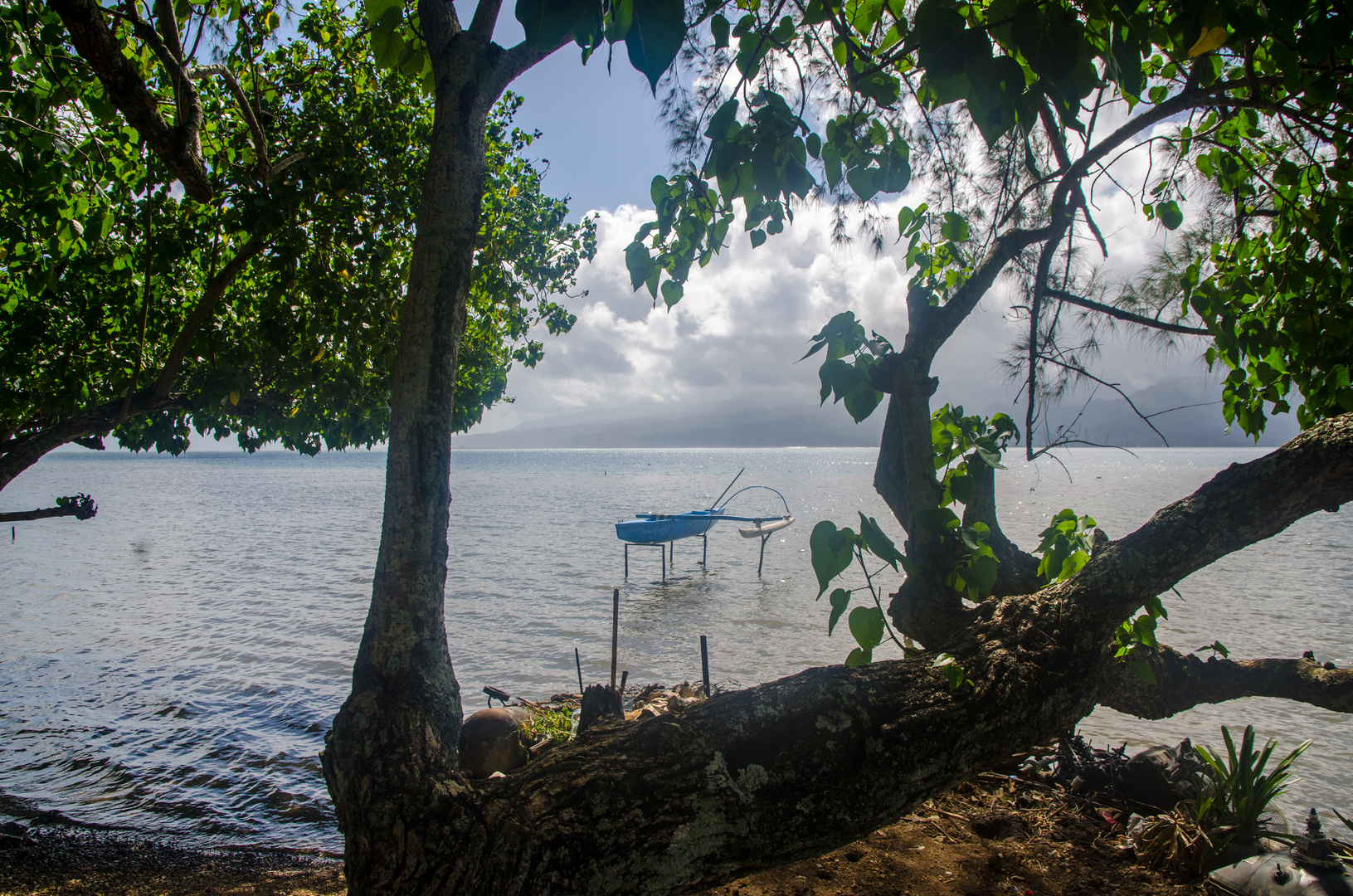 Cooks Bay, Moorea