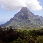 Cooks Bay, Moorea