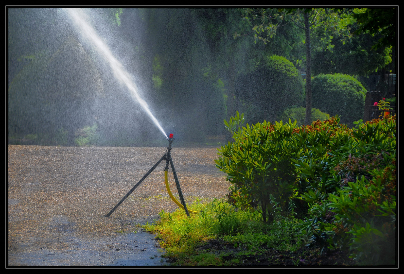 Cool Foto Bild Motive Natur Garten Wasser Motive Natur Bilder Auf Fotocommunity