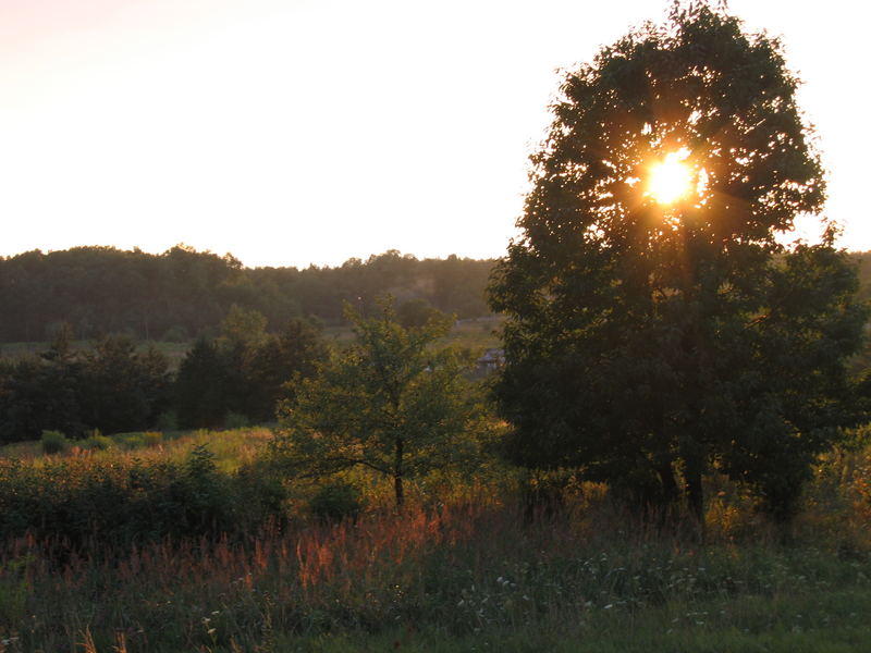 Cool August Evening