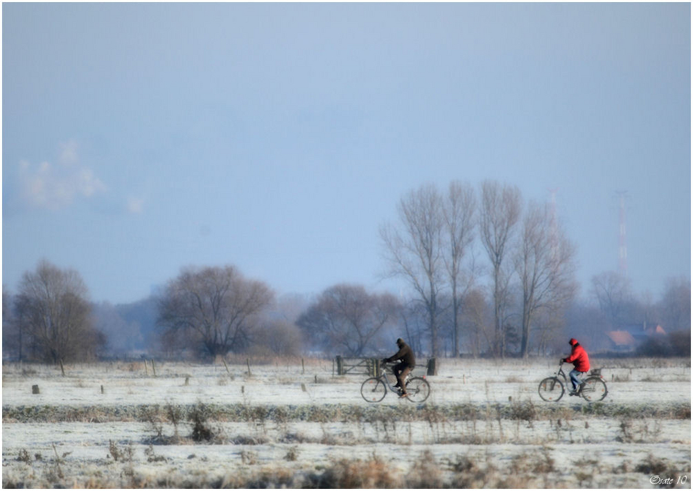 cool cyclin