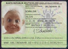 cool - diese biometrischen Passbilder oder ?