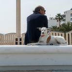 Cool guys at Altea (Spain)