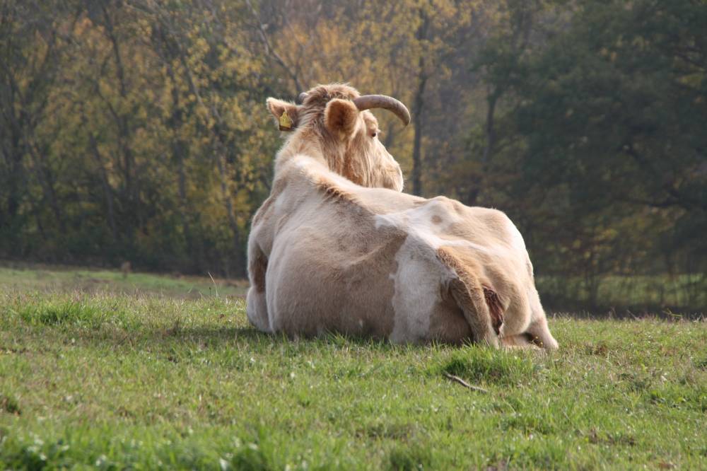 Cool im Herbst