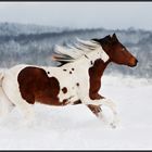 Cool Texas Cowboy