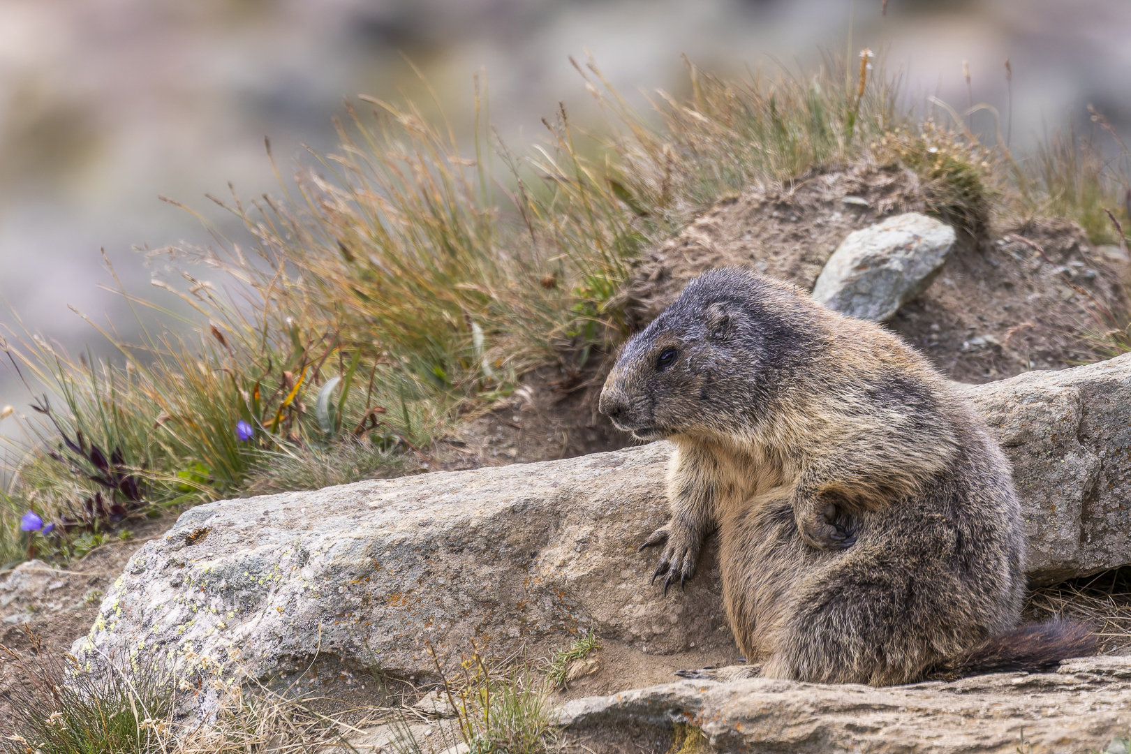 Cool und entspannt...